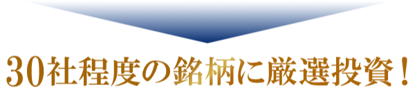 30社程度の銘柄に厳選投資！